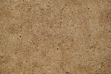 Beach detail background