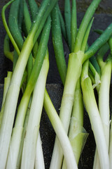 Obraz premium Harvested vegetables. Green onion . 採れたて野菜 ネギ