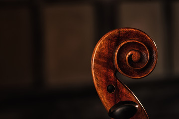 violin scroll side view