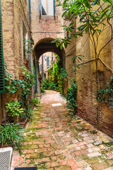 Fototapeta na wymiar Medieval narrow street Vicolo degli Orefici in Siena, Tuscany, Italy.