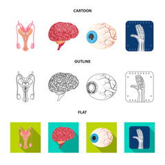 Isolated object of body and human symbol. Collection of body and medical stock vector illustration.