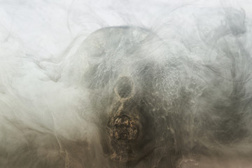 Skull and ink in water