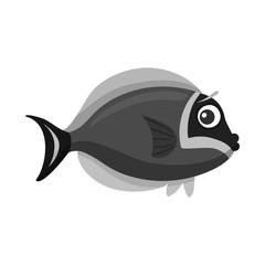 Isolated object of sea and animal icon. Collection of sea and marine stock symbol for web.
