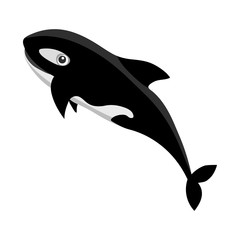 Vector illustration of sea and animal symbol. Set of sea and marine stock symbol for web.