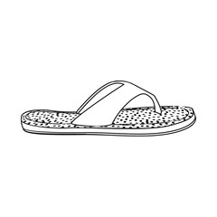 Vector illustration of shoe and footwear icon. Set of shoe and foot stock symbol for web.