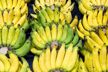 Banana bunch group in the market