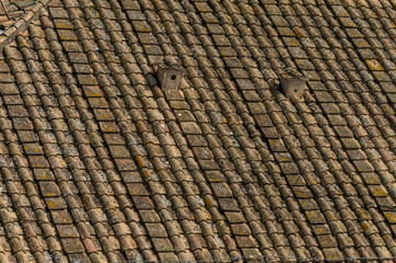 Antique tile roof on the house