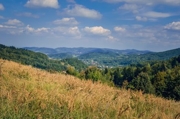 Fototapeta premium Beautiful rural mountain landscape. Cottages on the hills in the summer scenery.