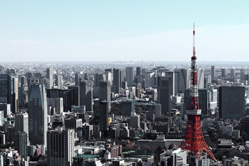 Tokyo Tower and Tokyo landscape