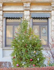 Fototapeta na wymiar christmas decorated windows and tree