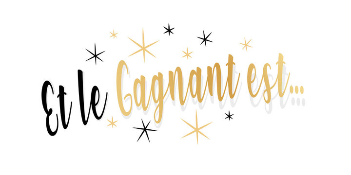23 Best Le Gagnant Est Images Stock Photos Vectors Adobe Stock