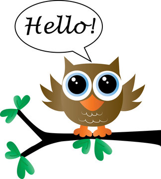  sweet little brown owl says hello