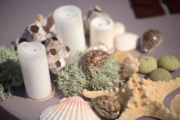 a composition of candles, shells and corals