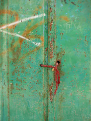 green rusty iron door with a chain in red plastic and a lock