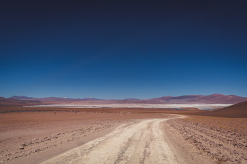 Dirt road through the salt flats Siloli, Bolivia