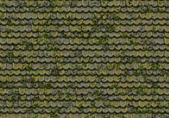 old house roof tiles