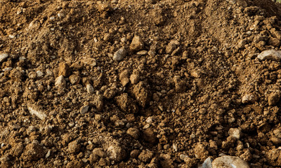 soil