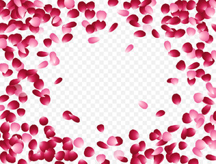 Flowers petals falling effect isolated on transparent background. Vector red and pink rose flying petals backdrop for Women, Mother Day, Valentine, wedding or greeting card design