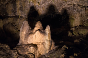 Stalagmite in Vazecka cave, Slovakia
