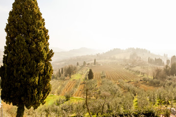 Fototapeta na wymiar Spring beautiful landscape, early morning in Tuscany, Italy