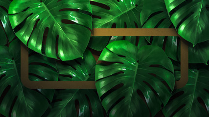 Monstera leaves with color frame and background. Nature concept - Image