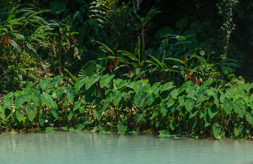 Kuang Si Falls, Luang Prabang, Laos