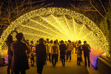 Giant led light tunnel is the famous place in Nabana No Sato, Nagasima, Japan. Many tourists...