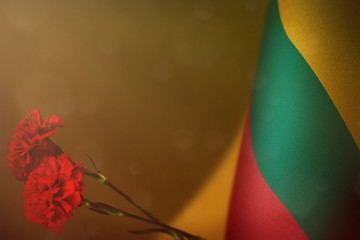 Lithuania flag for honour of veterans or memorial day with two red carnation flowers. Glory to Lithuania heroes of war concept on orange dark velvet.
