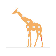 giraffe   animal   circus