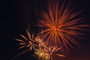 Obraz premium Fireworks Celebration Happy New Year