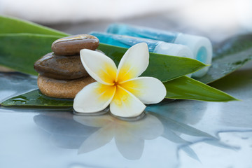 Fototapeta na wymiar Bottles, flower and stones for massage treatment
