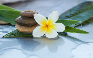 Obraz na płótnie Canvas Stones and flower for spa treatment concept