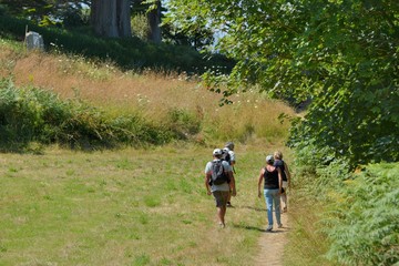 Fototapeta premium Deux couples qui se promènent sur un sentier en Bretagne