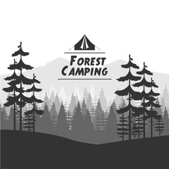 Forest camping background