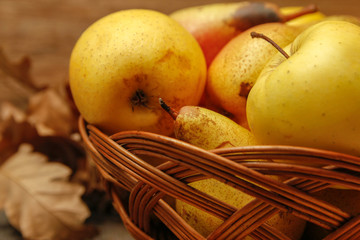 Fresh raw organic pears and apples in a basket on rustic wooden table. Close-up.