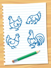 chickens  sketches
