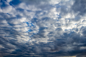 Numerous white clouds barely reveal the blue of the sky.