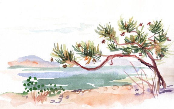watercolor landscape with pine  near sea