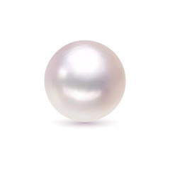 Vector Illustration. Shiny natural white pearl with light effects