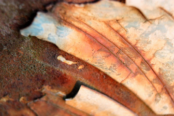 Makroaufnahme von blättriger Roststruktur