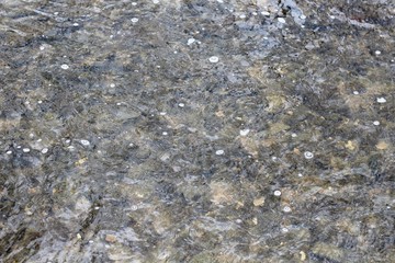 A close up on the flowing water surface.