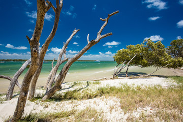Tropical beach with trees on the east side of Bribie Island, Queensland, Australia