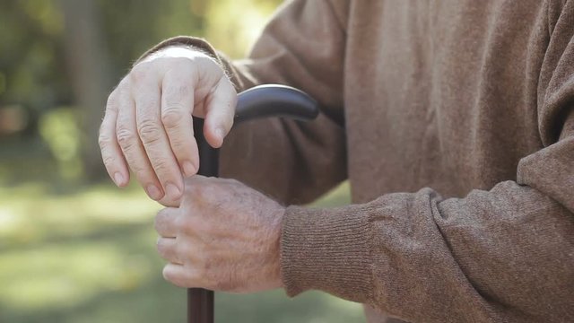 Closeup of hairy, wrinkled, powerless masculine hands, leaning on strong cane