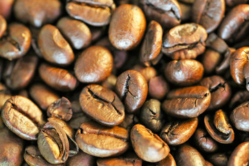 Coffee beans, close up