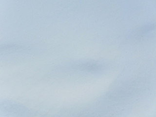 Shadows in the snow 2