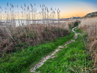 Path to the lighthouse