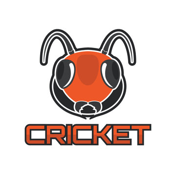 cricket insect logo isolated on white background. vector illustration