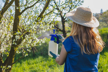 Farmer with gardening glove spraying a blooming fruit tree against plant diseases and pests. Use...