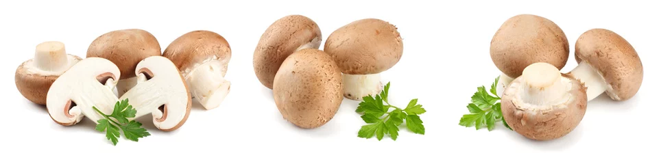 Crédence de cuisine en verre imprimé Légumes frais Fresh champignon mushrooms isolated on white background