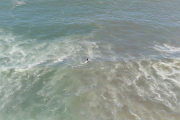 Naklejka premium A lonely surfer with his board in the foam. Surfing in the waves.